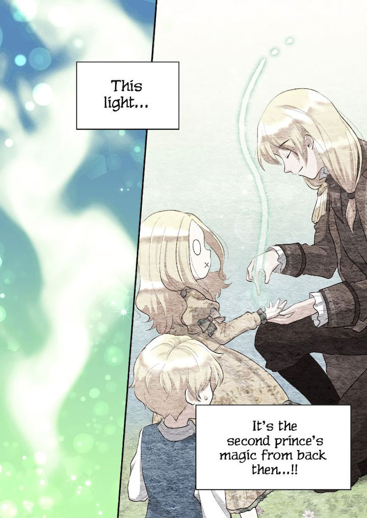 The Twin Siblings’ New Life Chapter 25 - Page 13