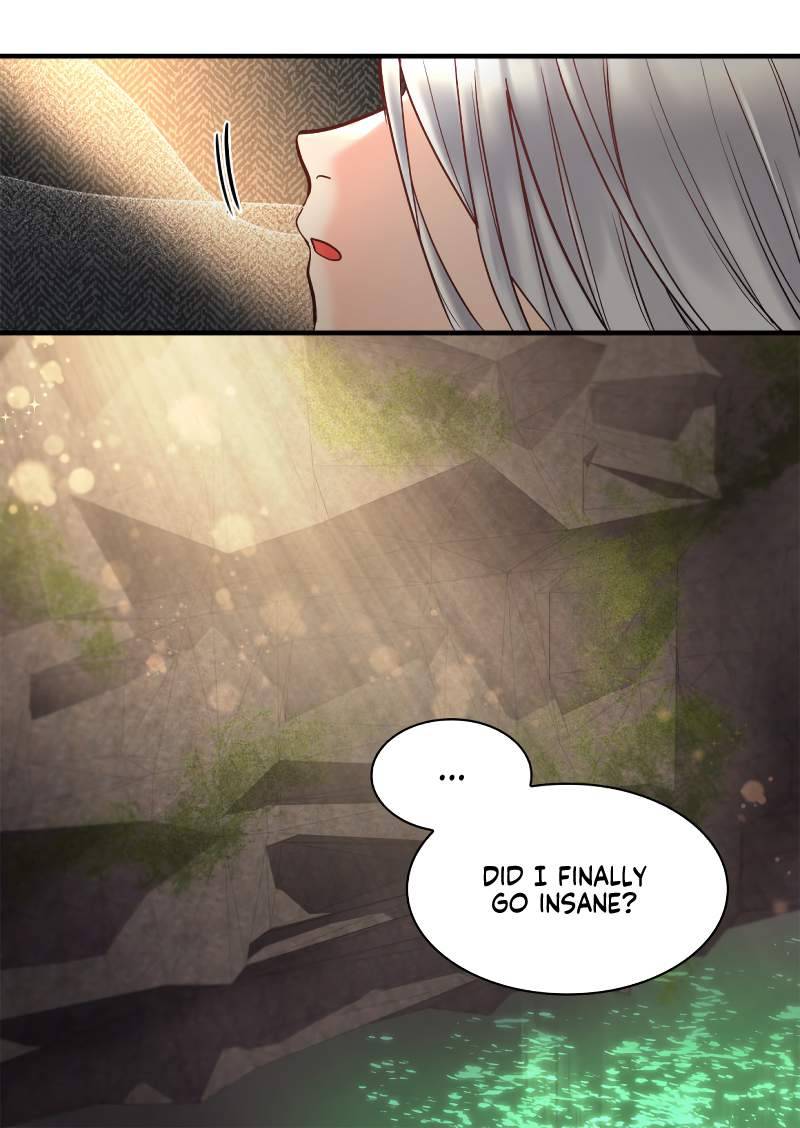 The Twin Siblings’ New Life Chapter 71 - Page 62