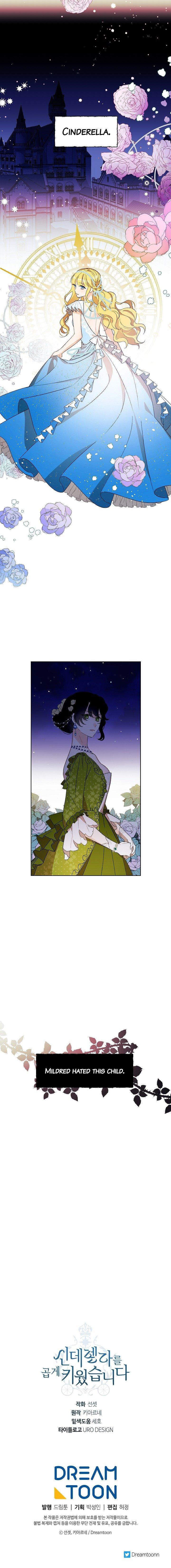 I Raised Cinderella Preciously Chapter 1 - Page 15