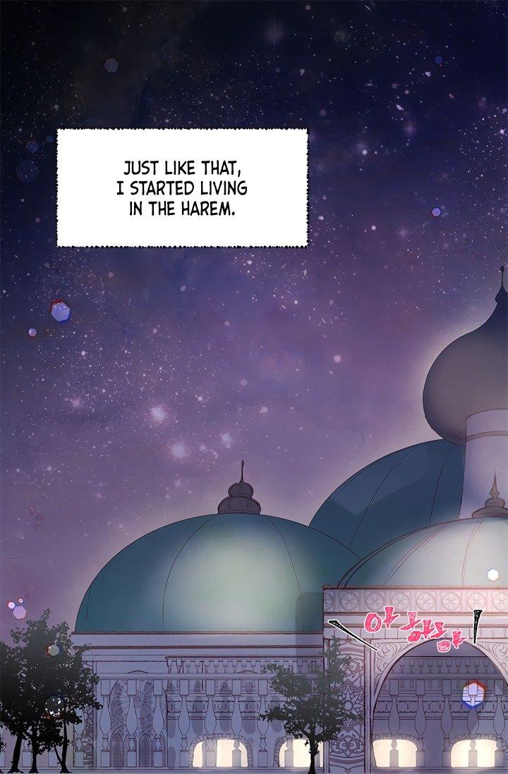 Sultan’s Love Chapter 1 - Page 16