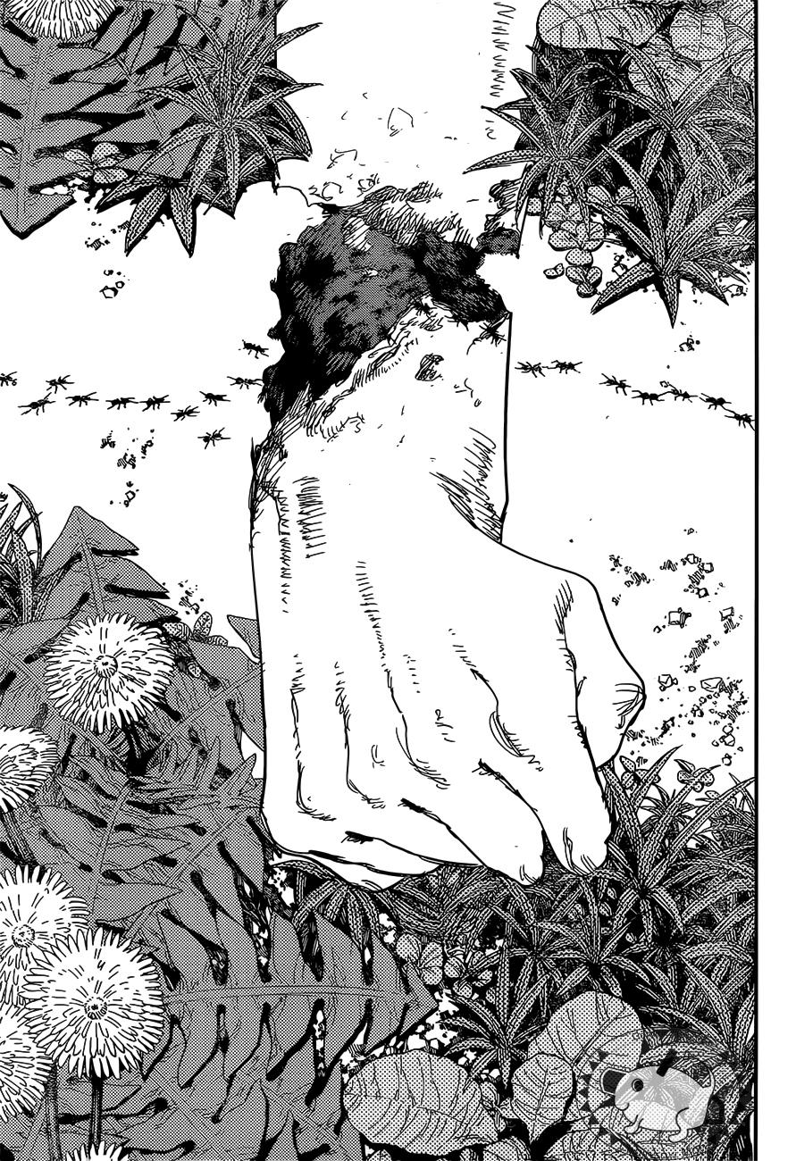 Chainsaw Man Chapter 63 - Page 17