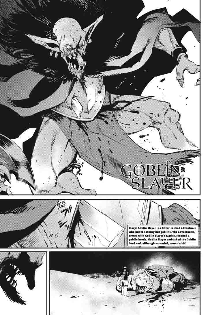 GOBLIN SLAYER Chapter 15 - Page 2