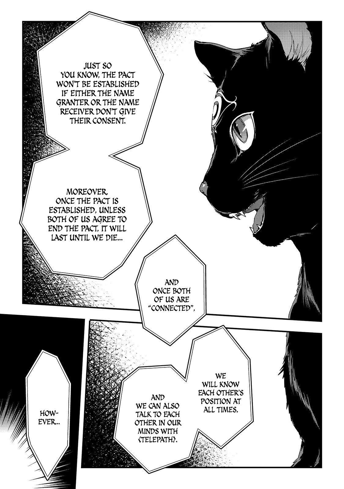 My Status as an Assassin Obviously Exceeds the Brave’s Chapter 11 - Page 16