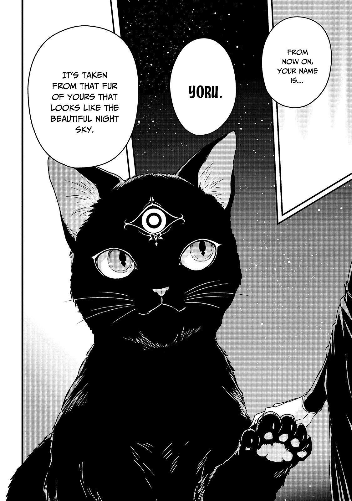 My Status as an Assassin Obviously Exceeds the Brave’s Chapter 11 - Page 21