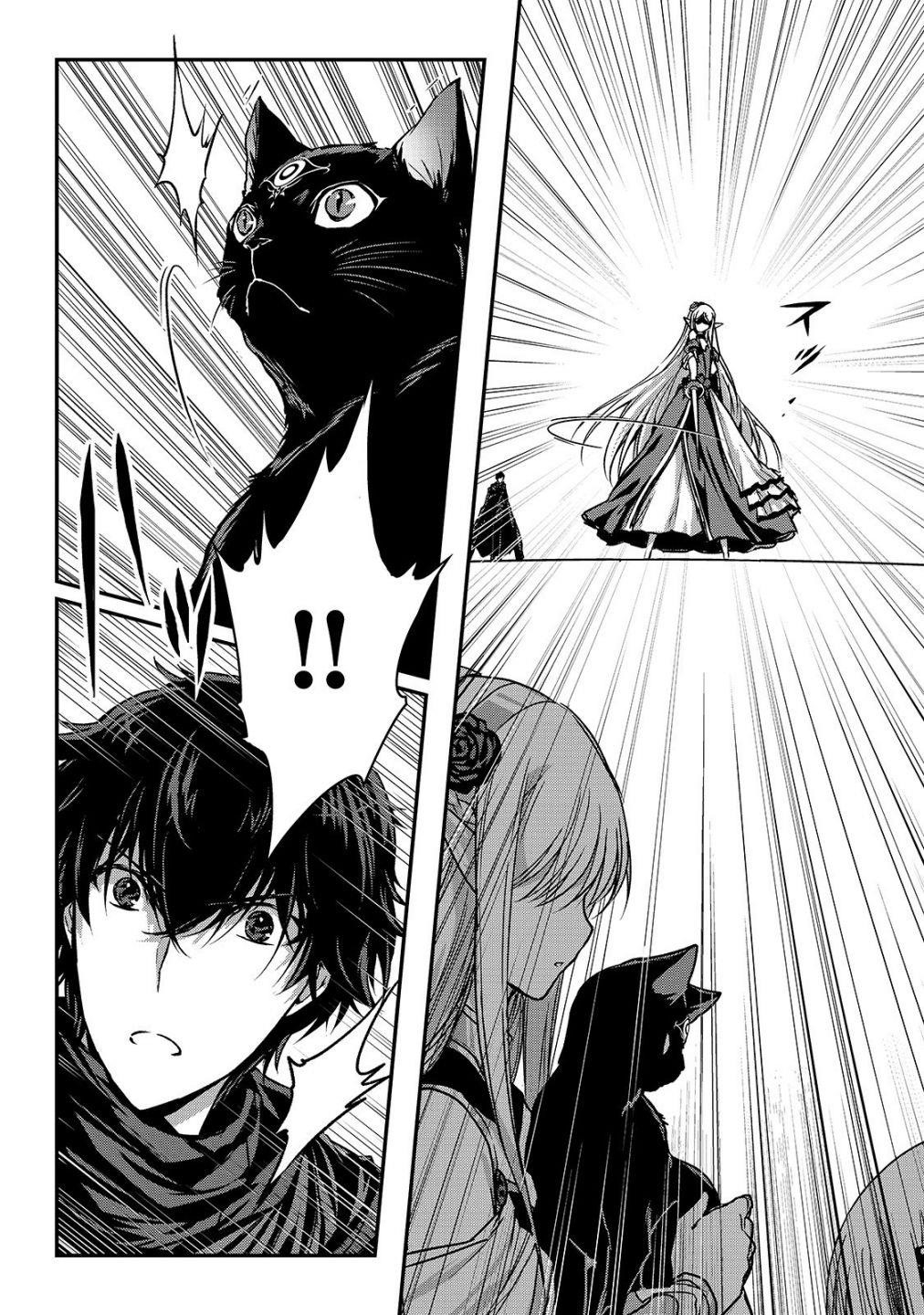 My Status as an Assassin Obviously Exceeds the Brave’s Chapter 16.5 - Page 10