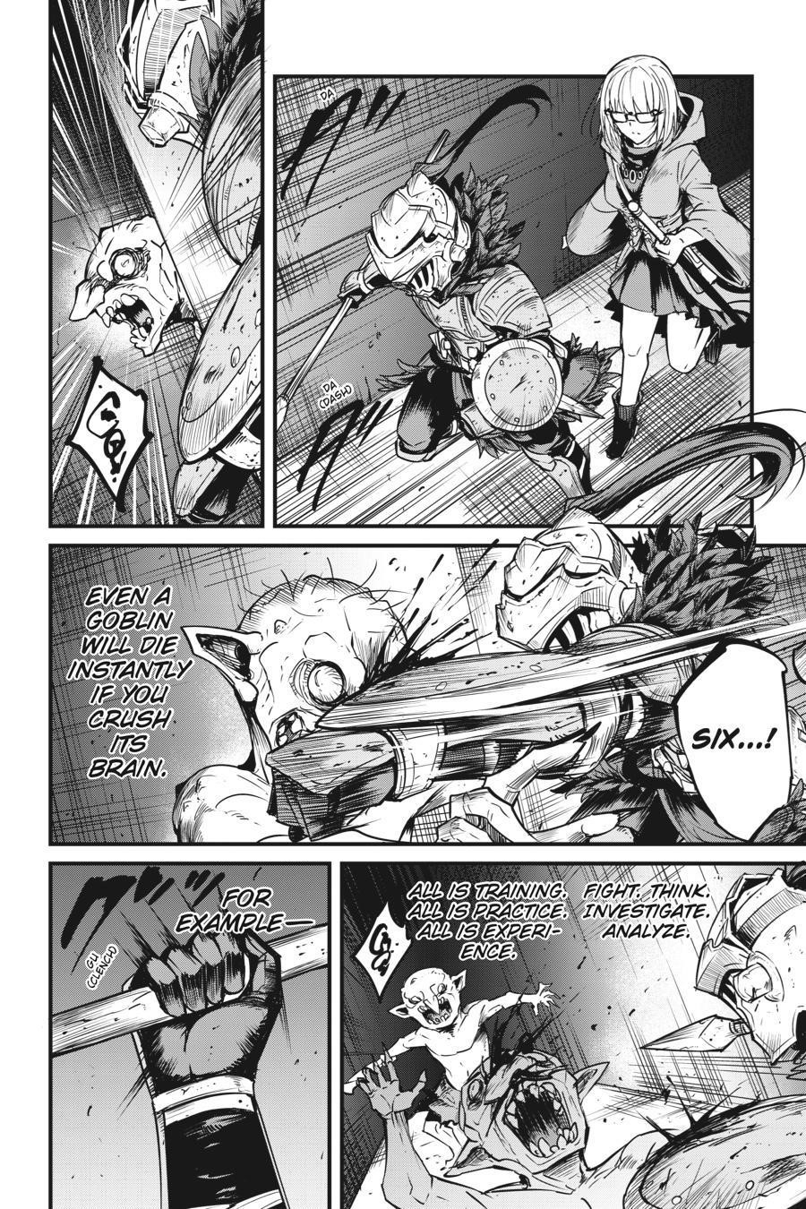 GOBLIN SLAYER: SIDE STORY YEAR ONE Chapter 38 - Page 17