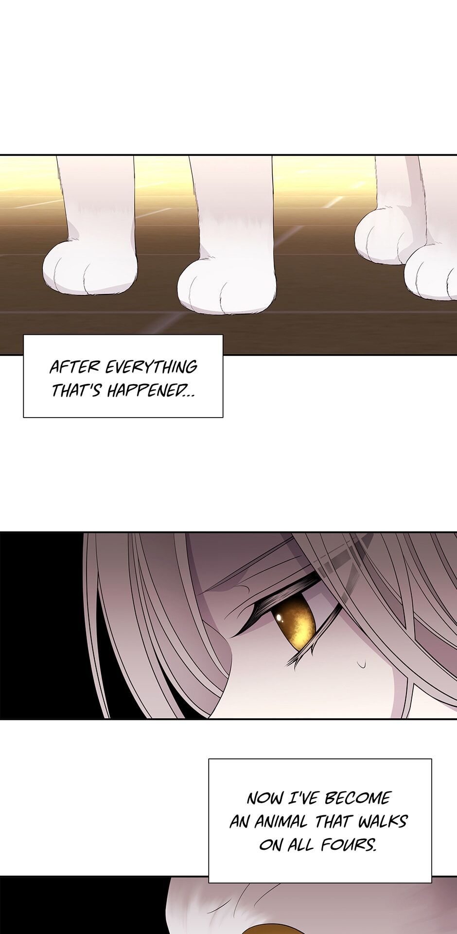 Charlotte Has Five Disciples Chapter 60 - Page 28