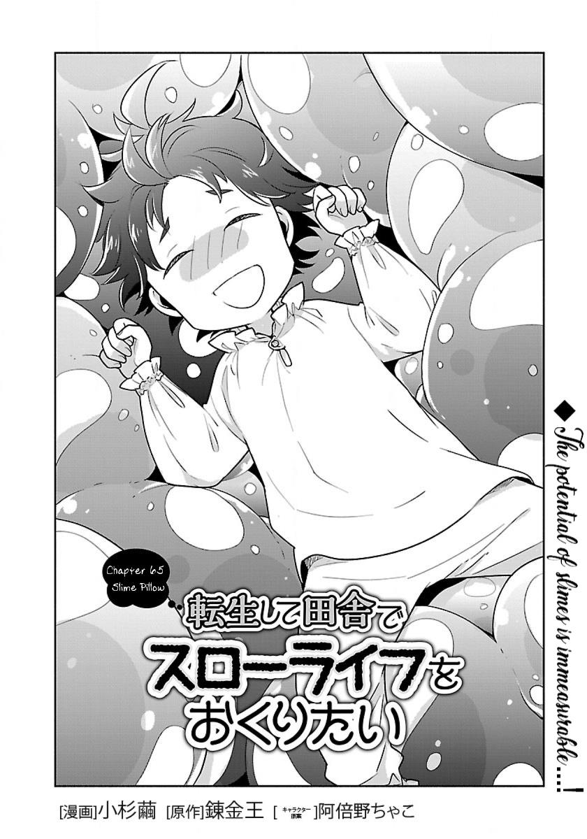 Tensei Shite Inaka de slowlife wo Okuritai Chapter 65 - Page 2