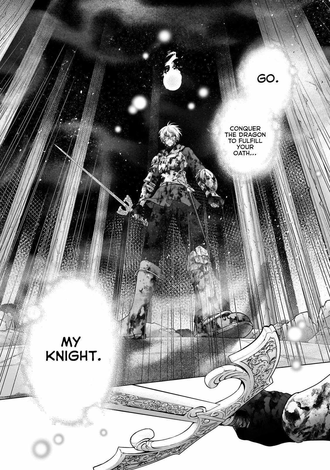 Saihate No Paladin Chapter 61.4 - Page 5