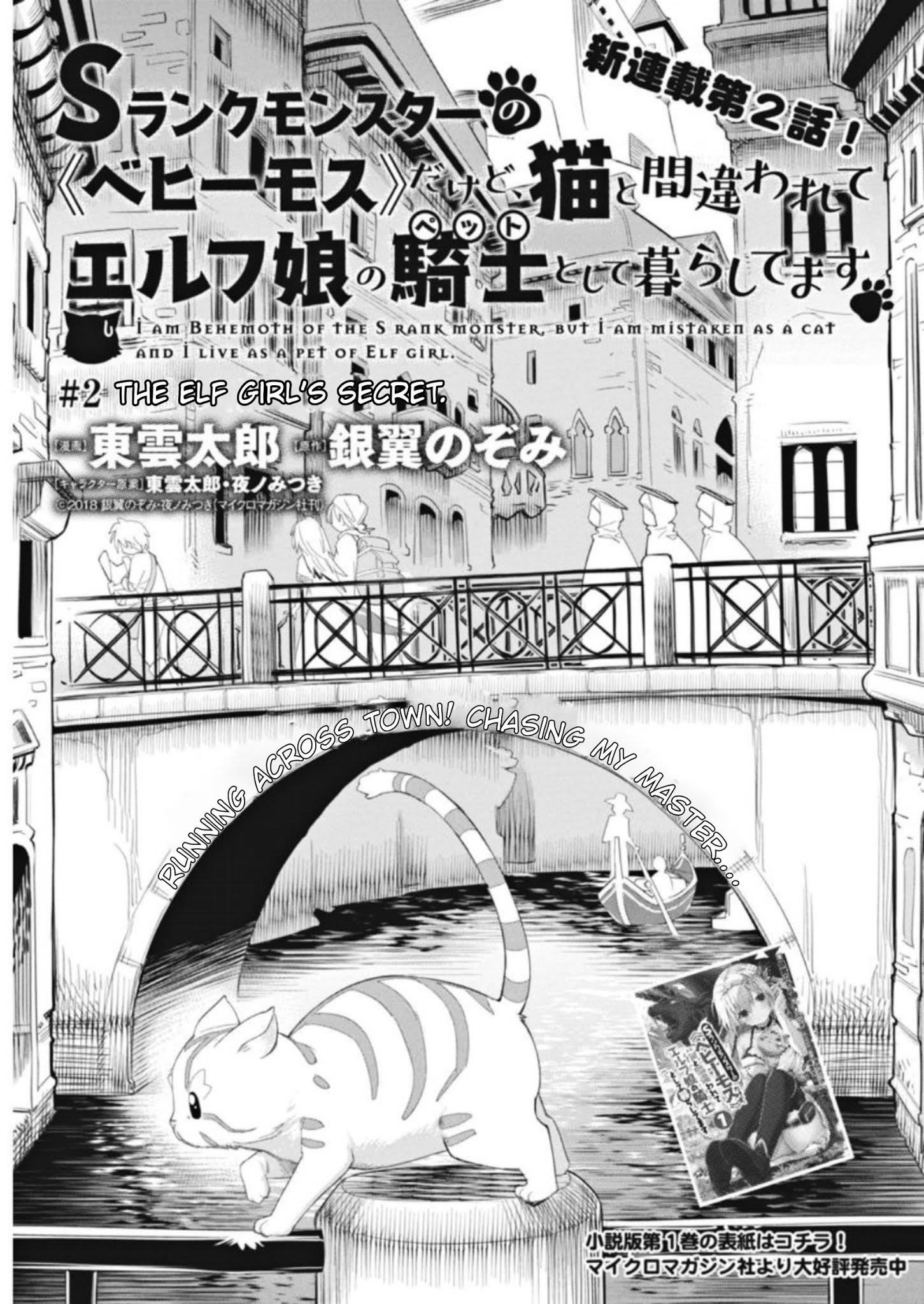 I Am Behemoth Of The S Rank Monster But I Am Mistaken As A Cat And I Live As A Pet Of Elf Girl Chapter 2 - Page 1