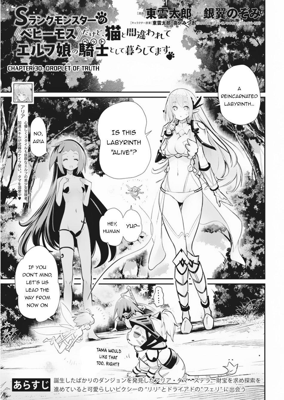 I Am Behemoth Of The S Rank Monster But I Am Mistaken As A Cat And I Live As A Pet Of Elf Girl Chapter 30 - Page 1