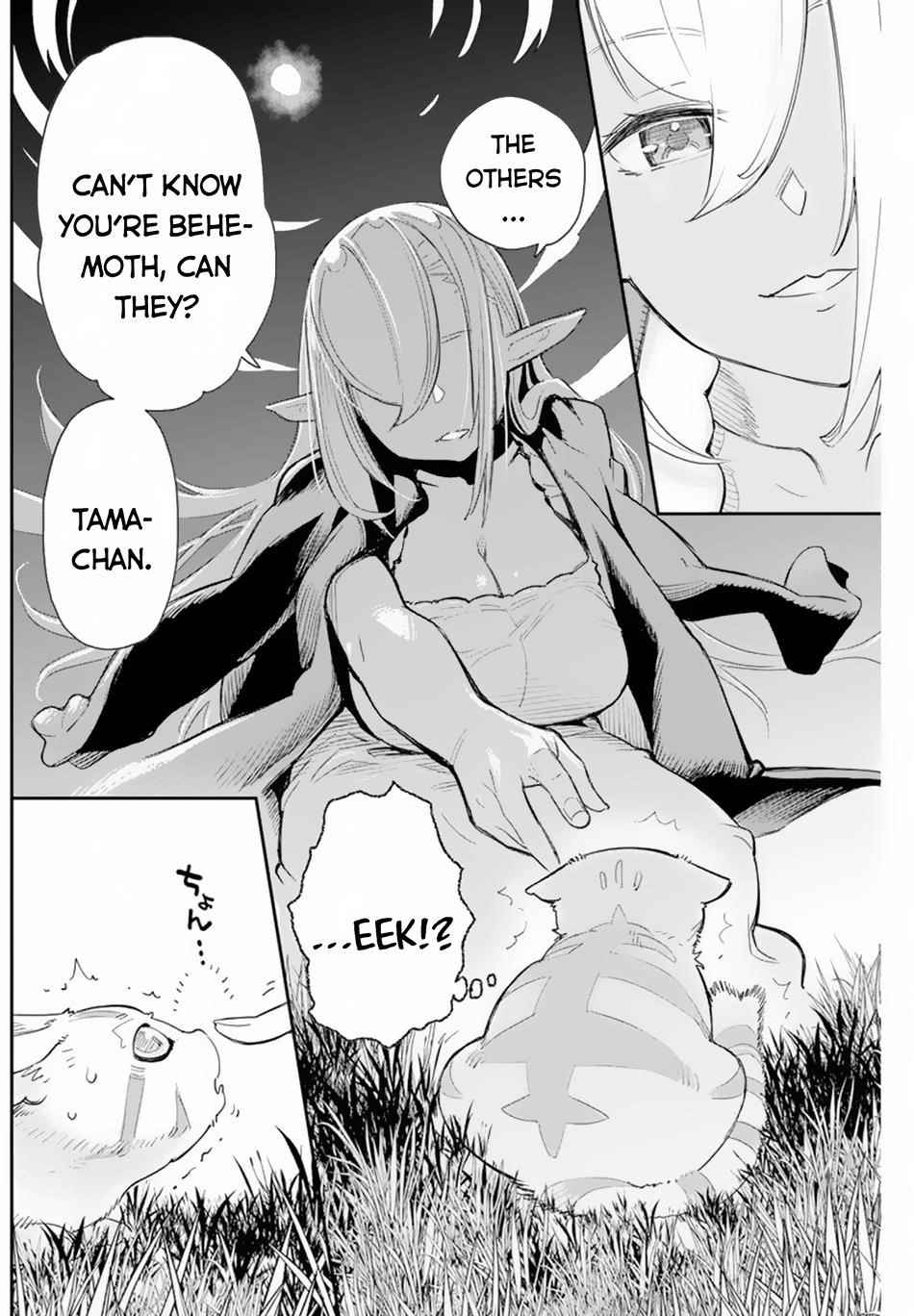 I Am Behemoth Of The S Rank Monster But I Am Mistaken As A Cat And I Live As A Pet Of Elf Girl Chapter 47 - Page 17