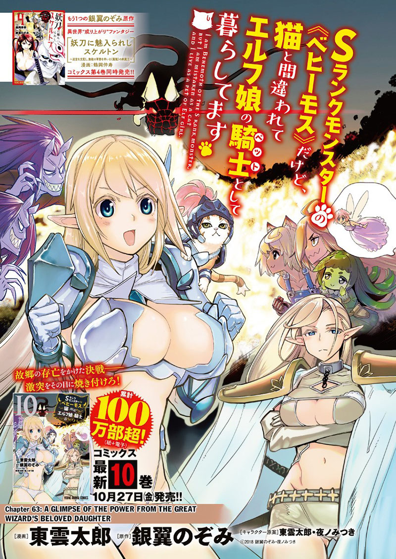 I Am Behemoth Of The S Rank Monster But I Am Mistaken As A Cat And I Live As A Pet Of Elf Girl Chapter 63 - Page 1