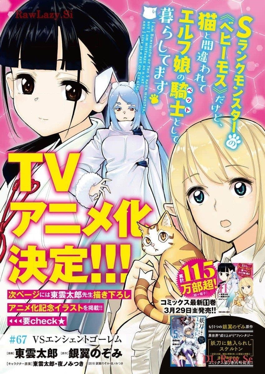 I Am Behemoth Of The S Rank Monster But I Am Mistaken As A Cat And I Live As A Pet Of Elf Girl Chapter 67 - Page 1