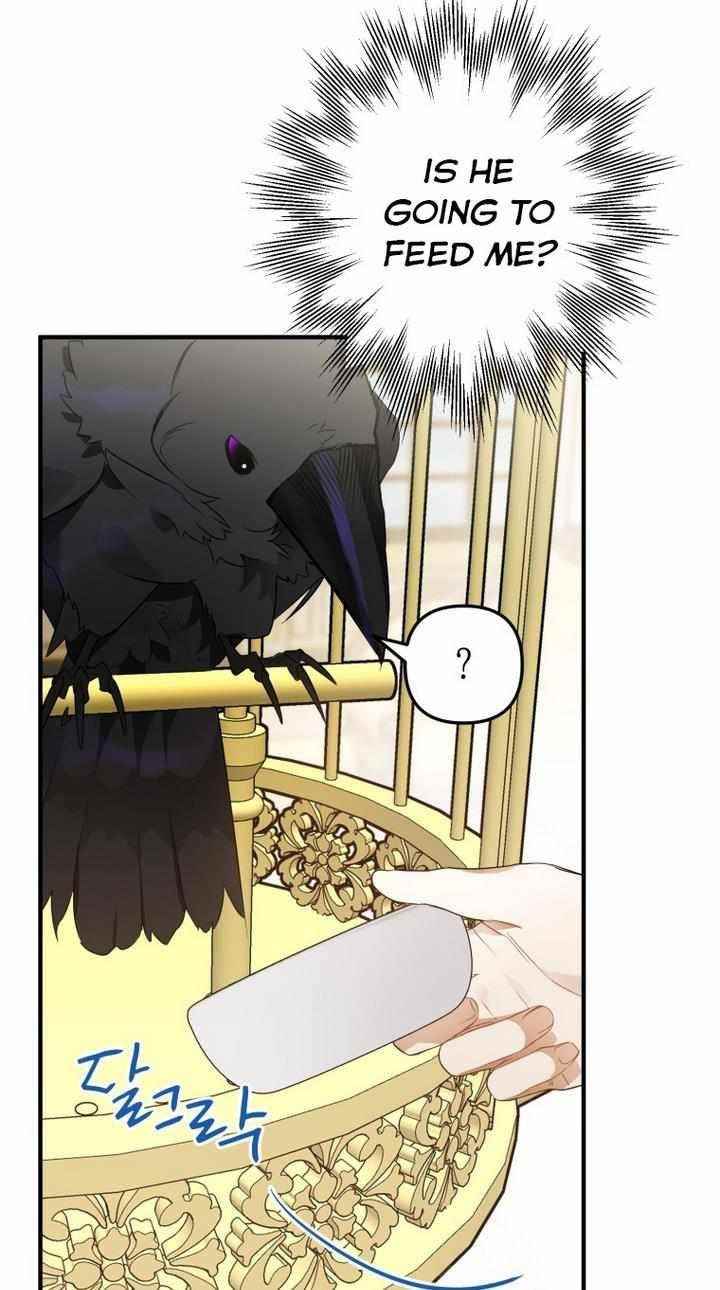 After All, I Became a Crow Chapter 6 - Page 59