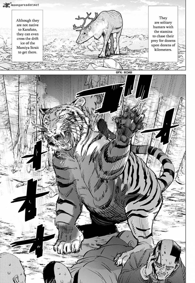 Golden Kamui Chapter 181 - Page 5