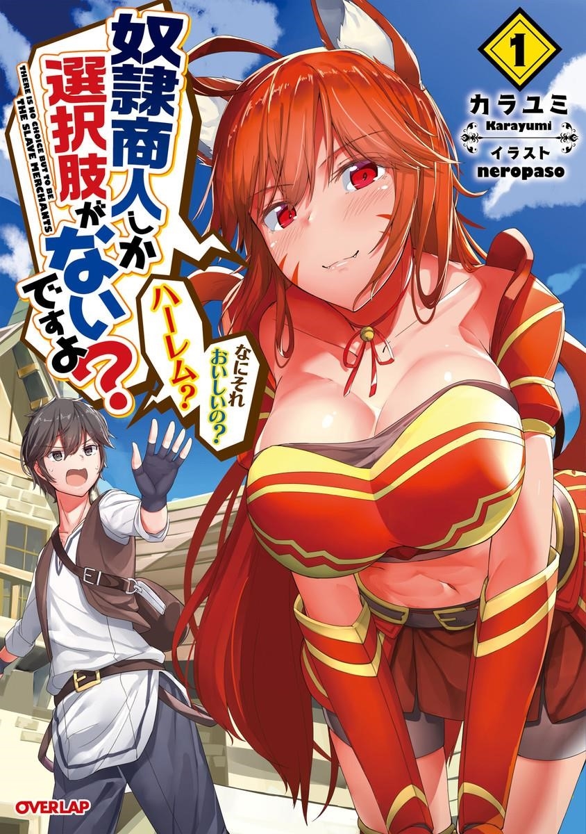 Is The Only Option a Slave Merchant? ~ Harem? What is that, Is it tasty? ~ Chapter 2 - Page 1
