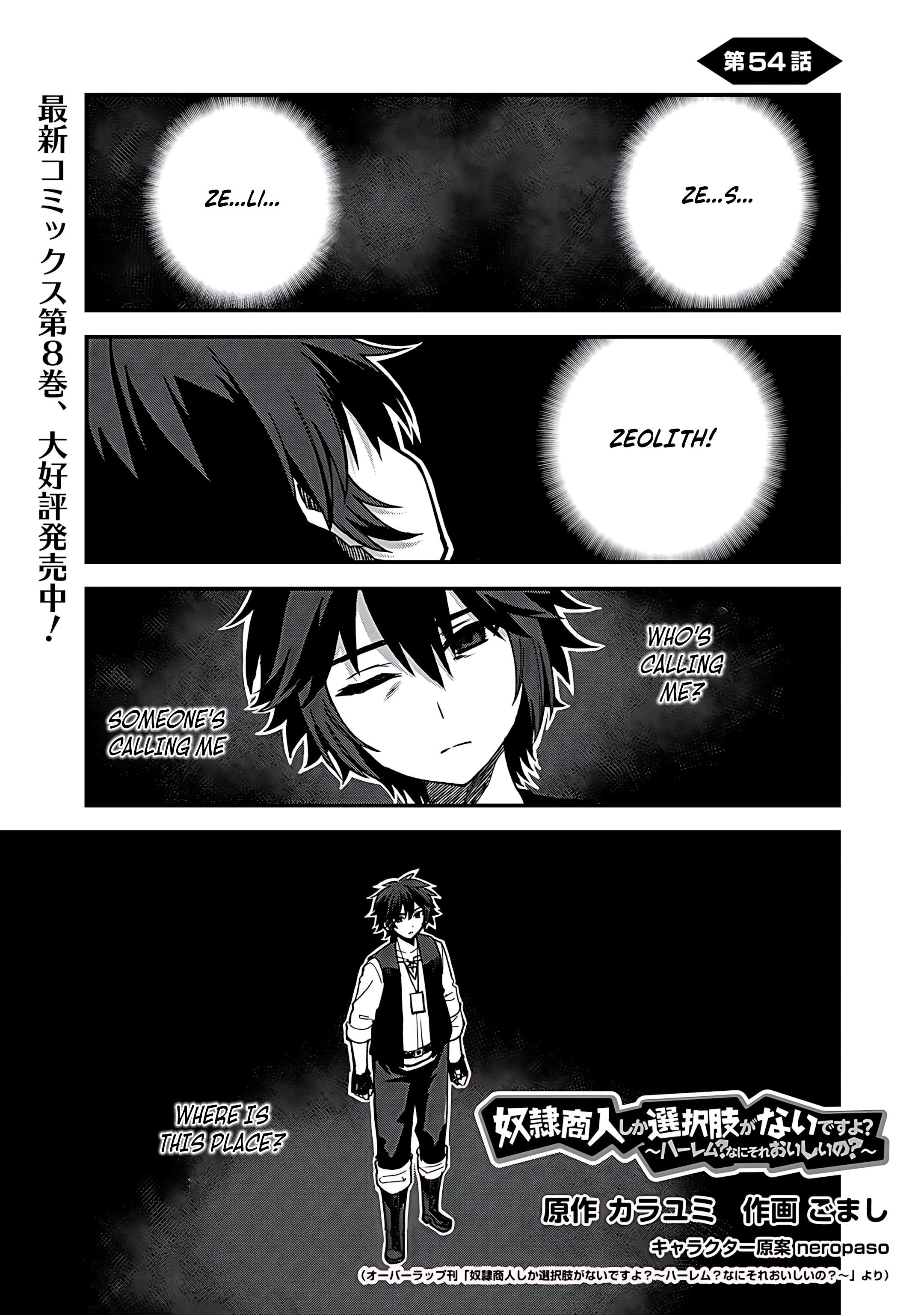 Is The Only Option a Slave Merchant? ~ Harem? What is that, Is it tasty? ~ Chapter 54 - Page 2