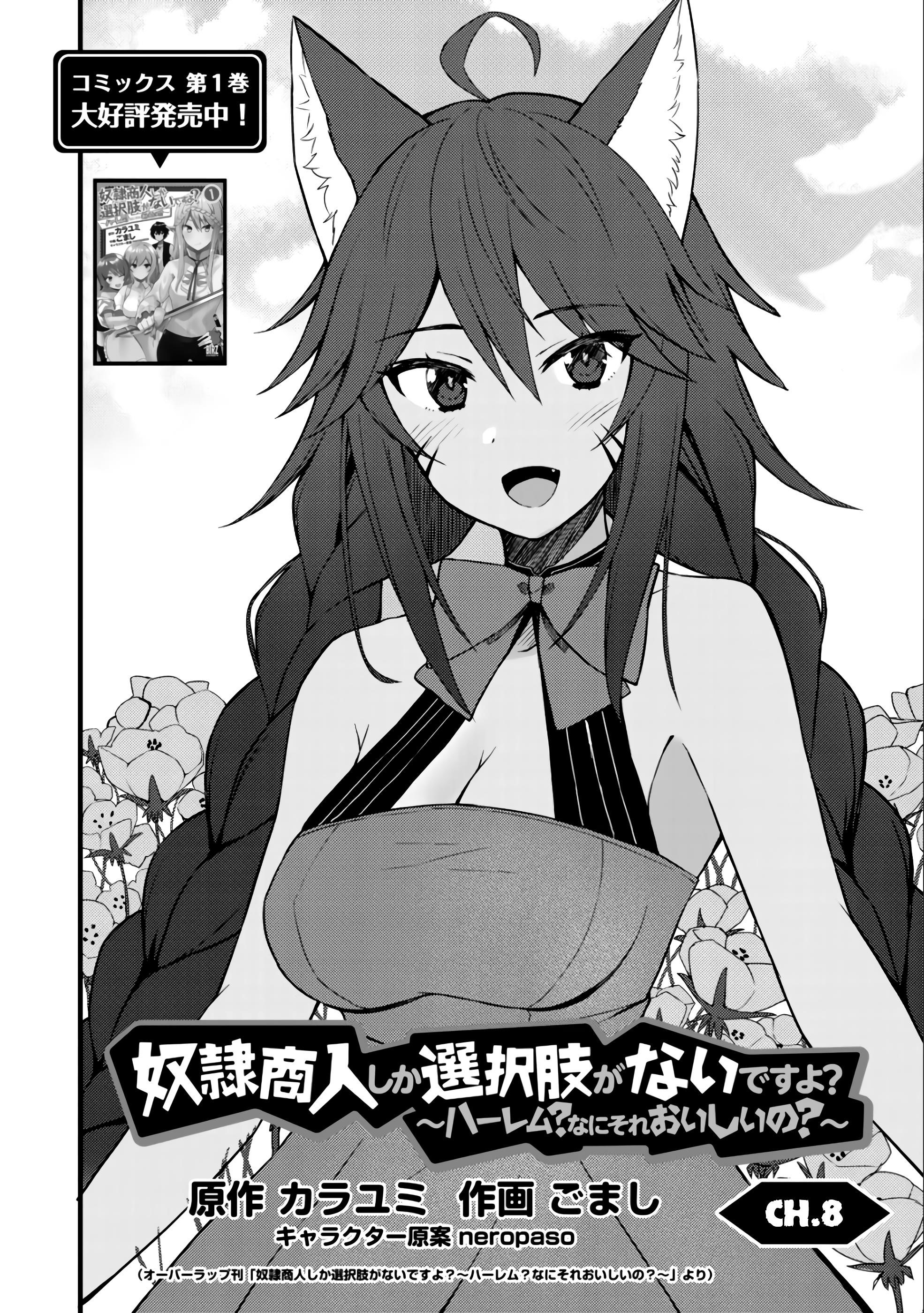 Is The Only Option a Slave Merchant? ~ Harem? What is that, Is it tasty? ~ Chapter 9 - Page 2