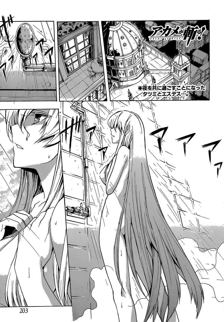 Akame Ga Kill! Chapter 18 - Page 1