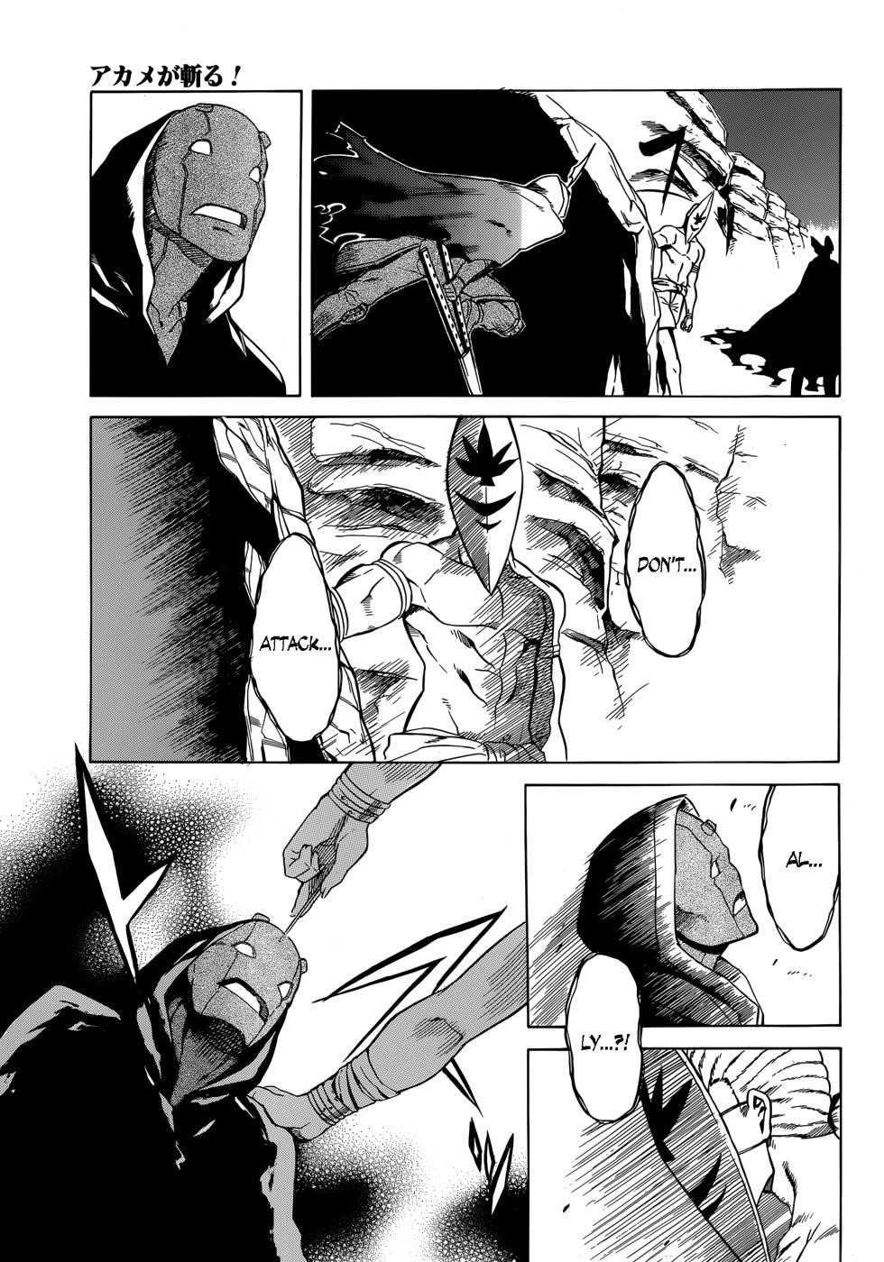 Akame Ga Kill! Chapter 31 - Page 25