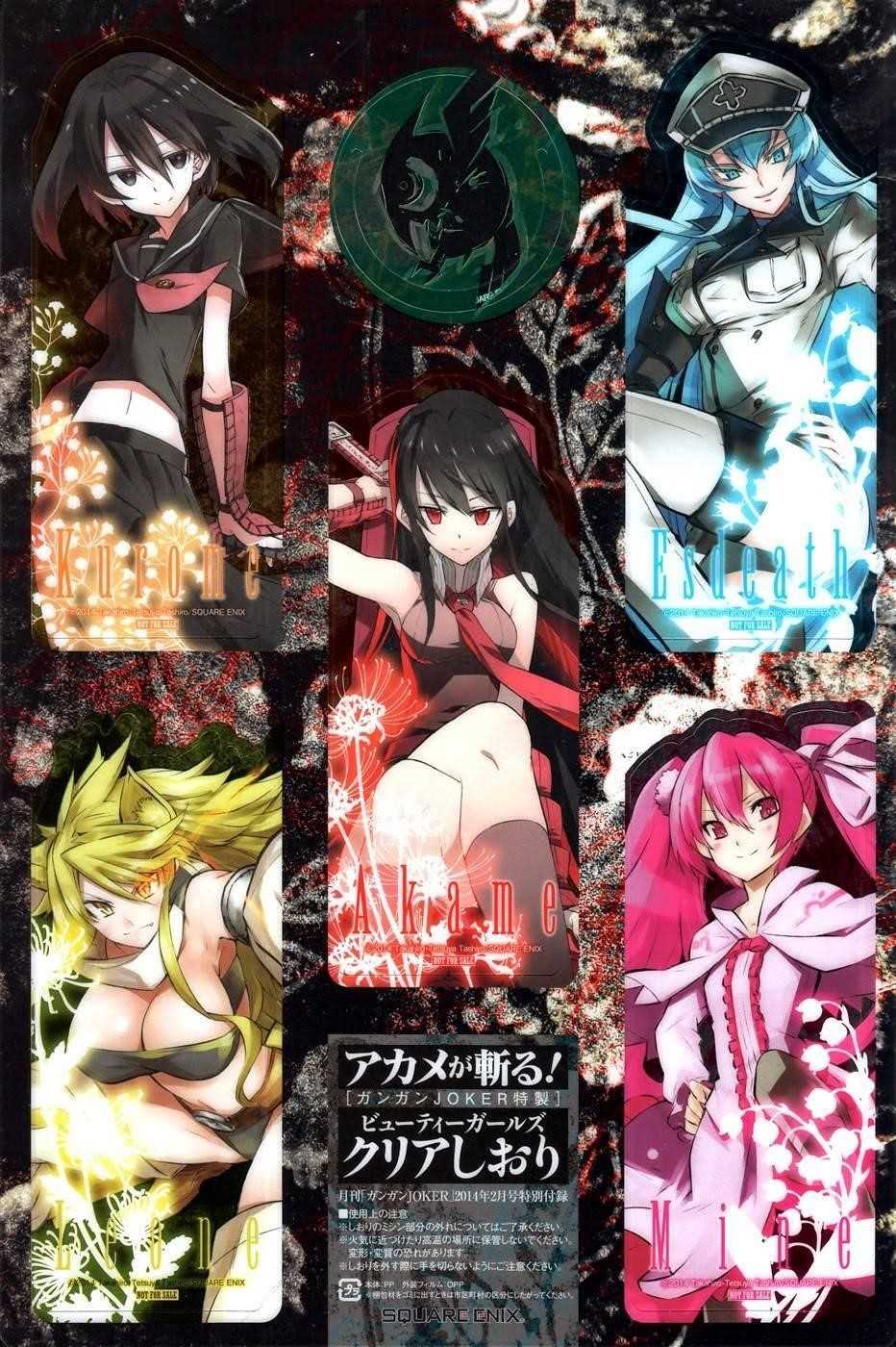 Akame Ga Kill! Chapter 46 - Page 46