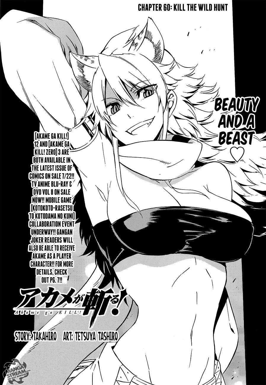 Akame Ga Kill! Chapter 60 - Page 1
