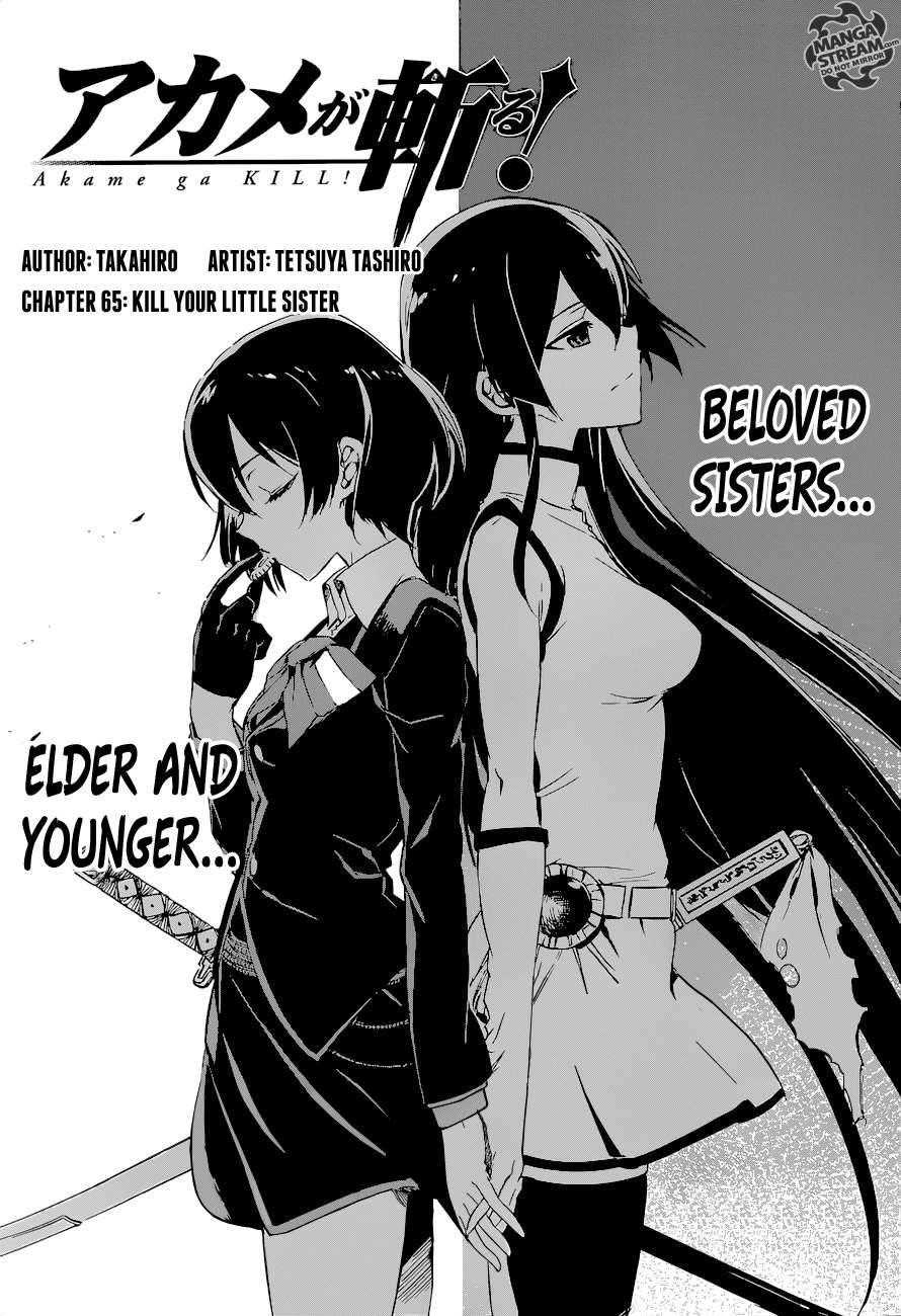 Akame Ga Kill! Chapter 65 - Page 5