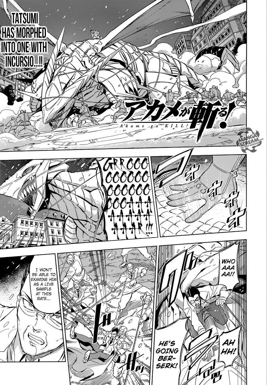 Akame Ga Kill! Chapter 76 - Page 1