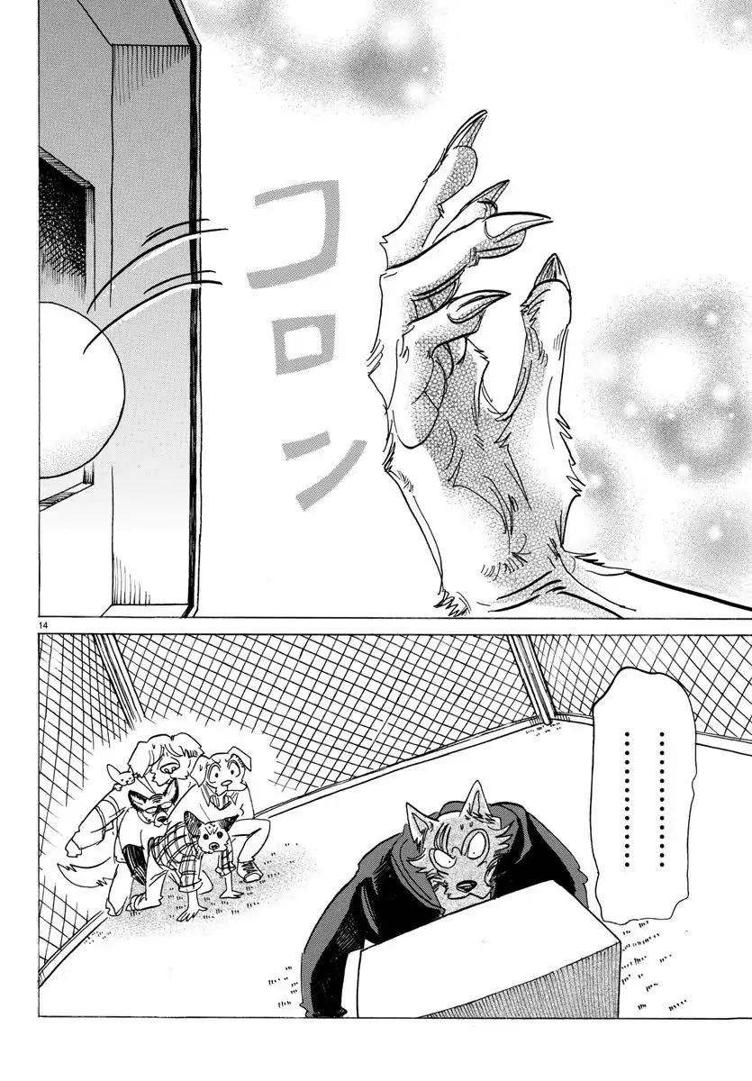 Beastars Chapter 123 - Page 15