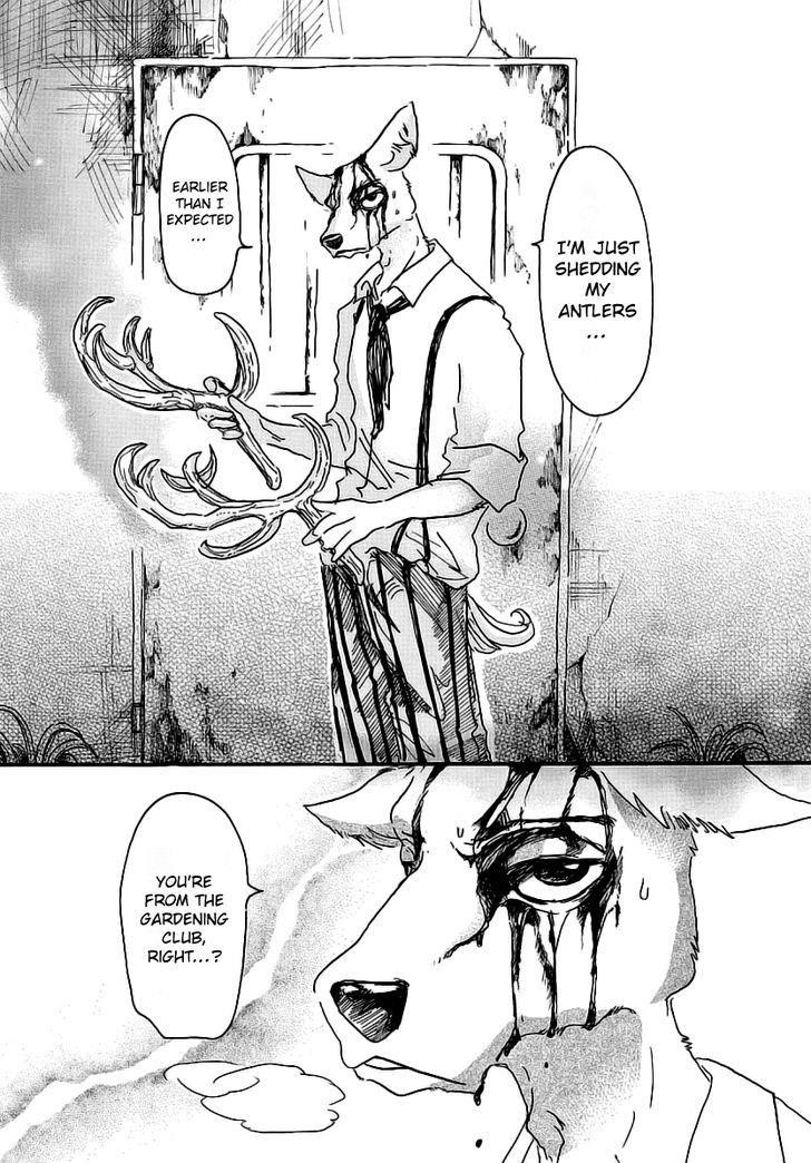 Beastars Chapter 26 - Page 8