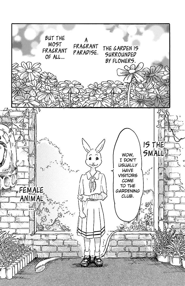 Beastars Chapter 8 - Page 4