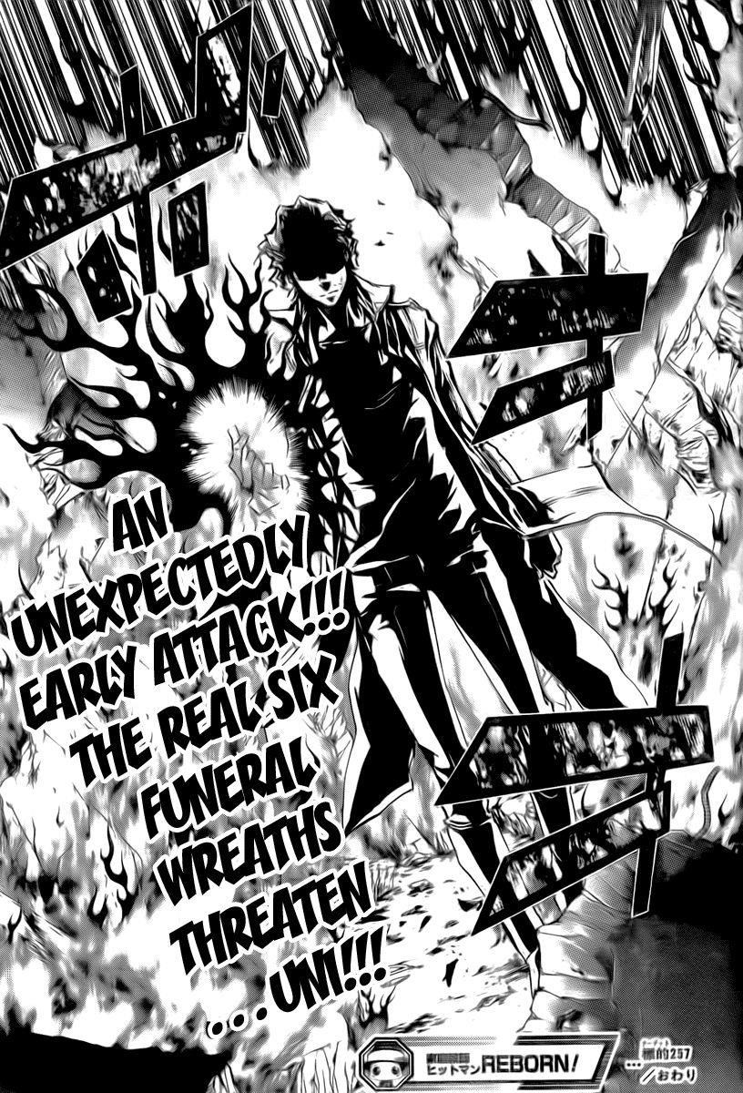 Hitman Reborn Chapter 257 - Page 17