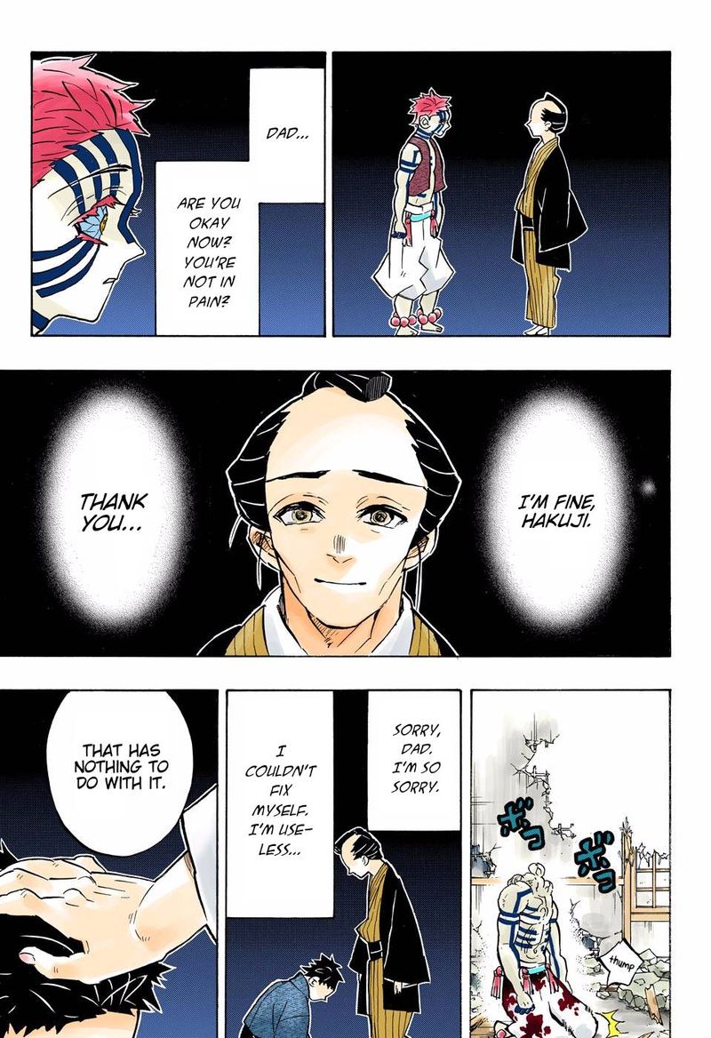 Demon Slayer: Kimetsu no Yaiba – manga in colored Chapter 156 - Page 15
