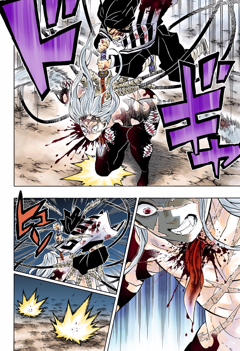 Demon Slayer: Kimetsu no Yaiba – manga in colored Chapter 195 - Page 12