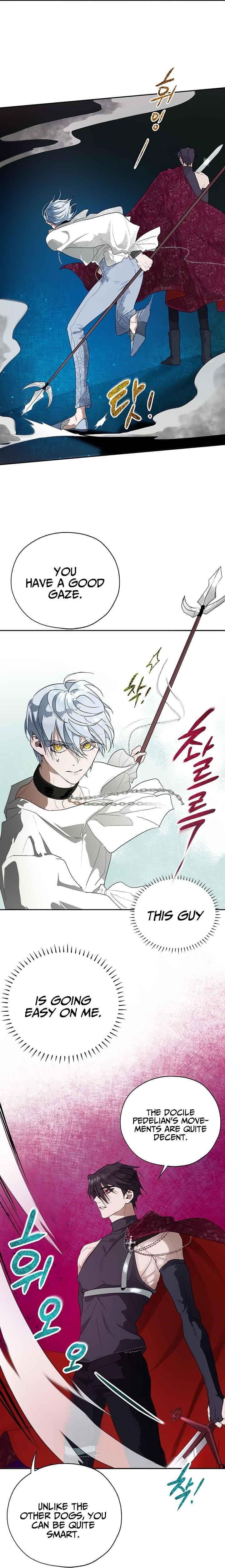 How to Protect the Heroine’s Older Brother Chapter 16 - Page 7