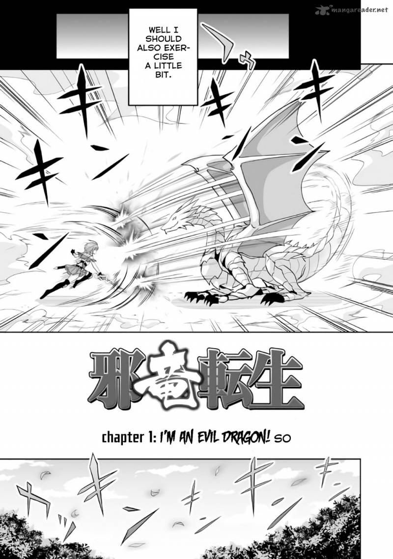 Evil Dragon Reincarnation Chapter 1 - Page 3