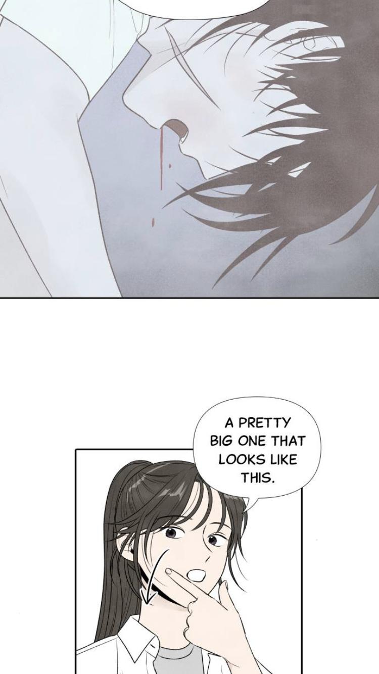 What I Decided To Die For Chapter 17 - Page 46
