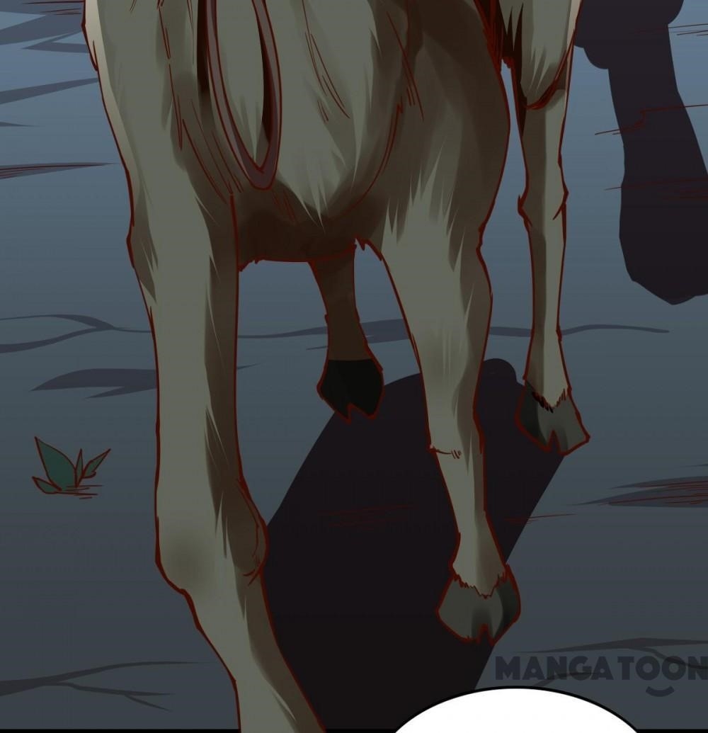Almight Network Chapter 161 - Page 13