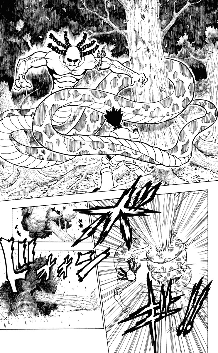 Hunter x Hunter Chapter 231 - Page 9