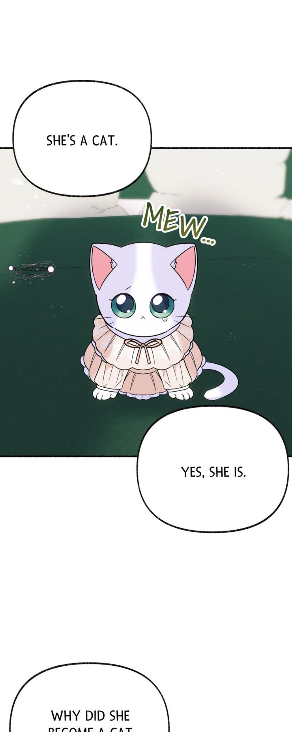 The Possesive Tyrant and His Sleepy Cat Chapter 18 - Page 1