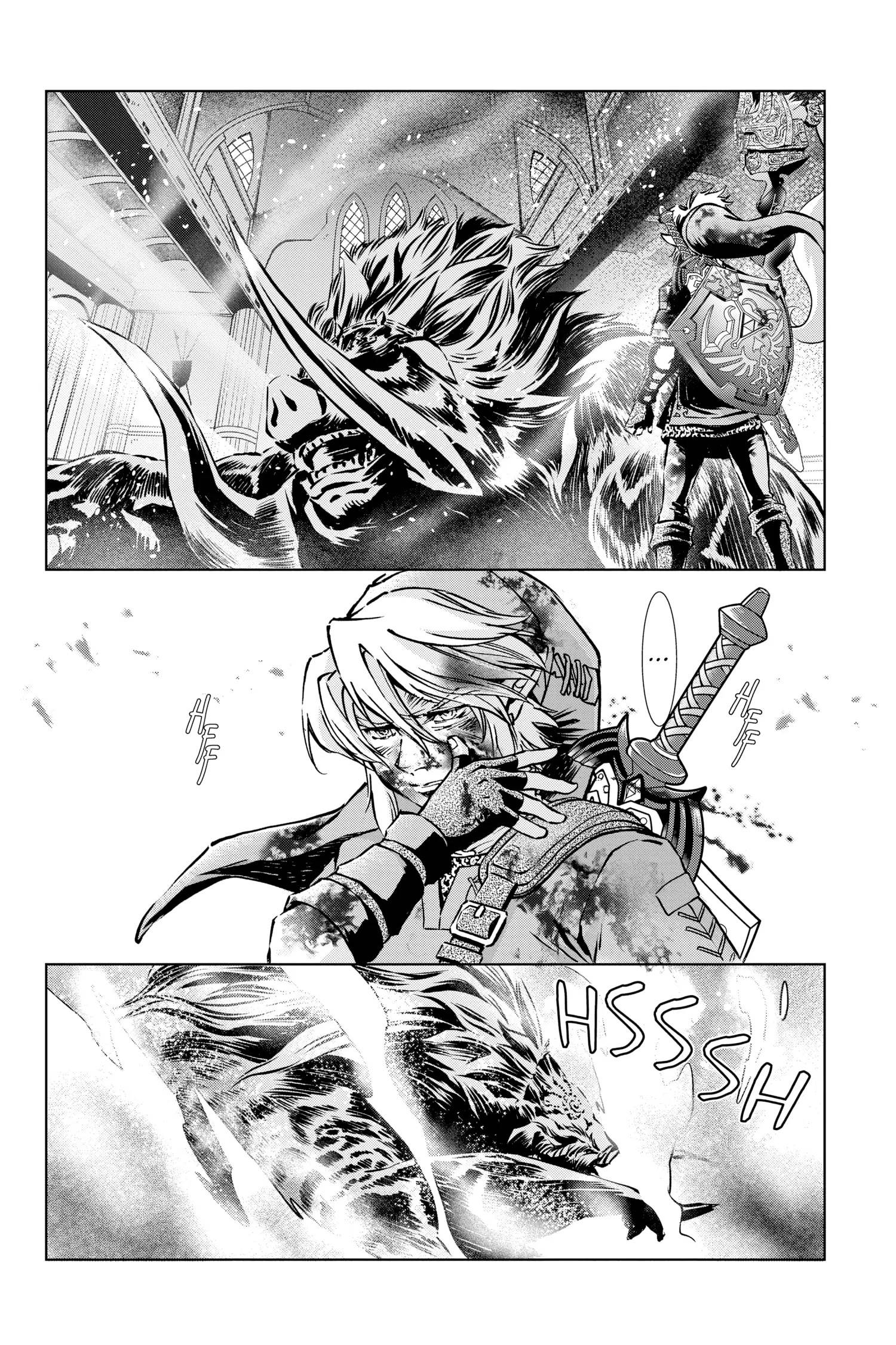 Zelda No Densetsu – Twilight Princess Chapter 53 - Page 9