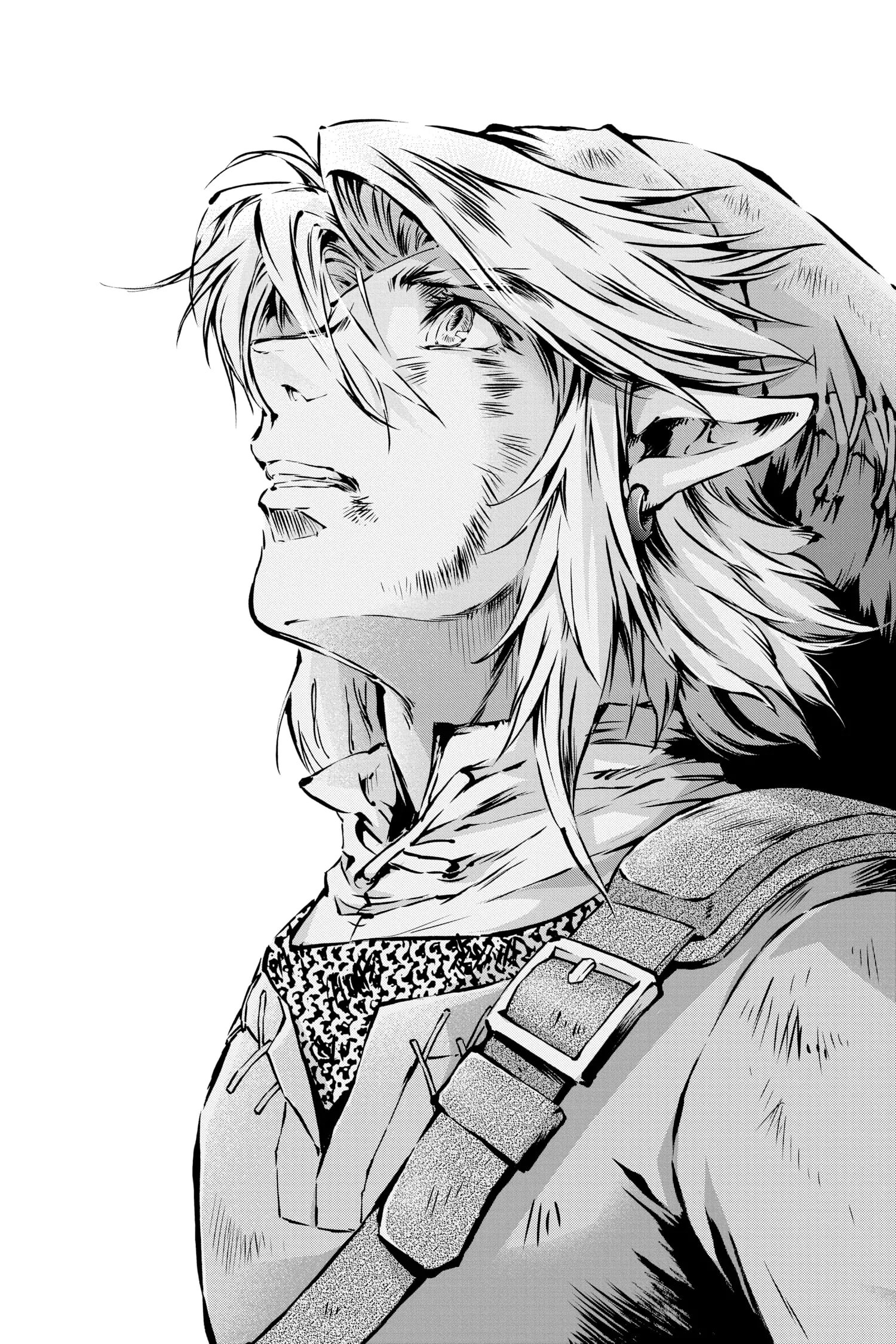 Zelda No Densetsu – Twilight Princess Chapter 57 - Page 10