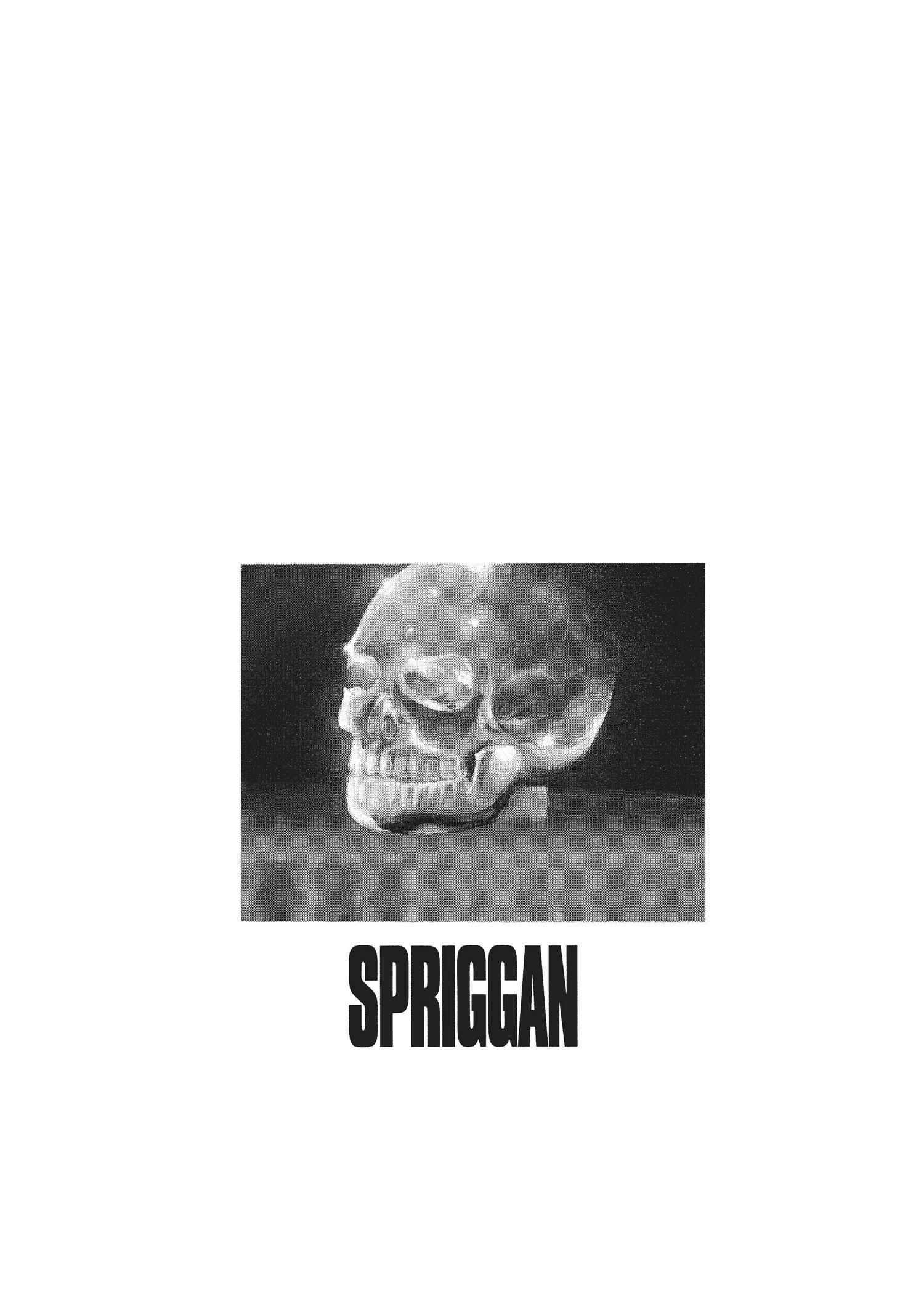 Spriggan Chapter 23 - Page 43