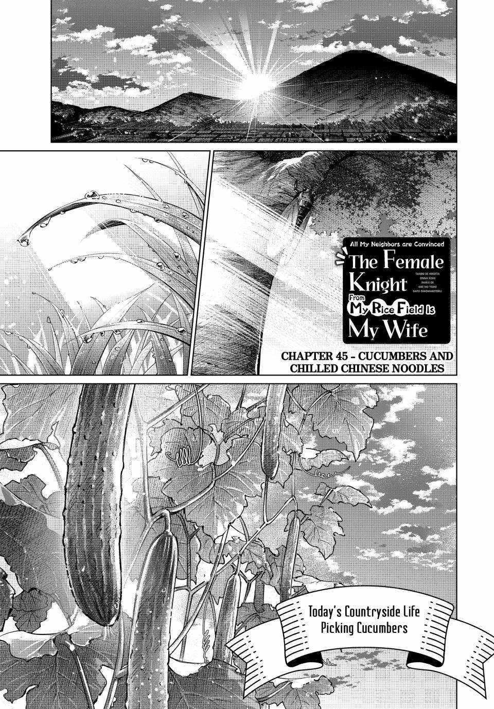 I Found a Female Knight in a Rice Field, in the Countryside They Think She’s My Wife Chapter 45 - Page 1