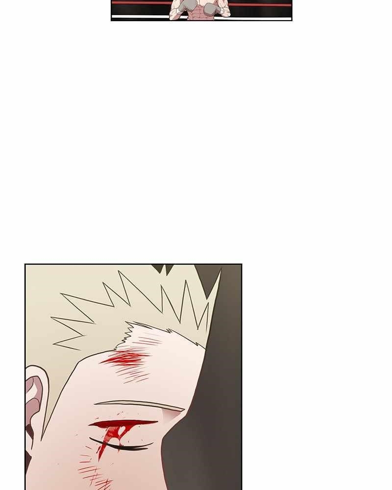 The Boxer Chapter 135 - Page 5