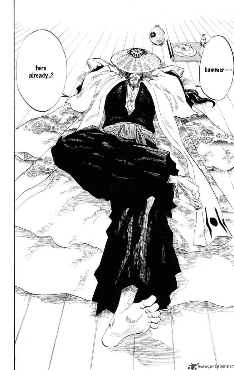 BLEACH Chapter 102 - Page 15