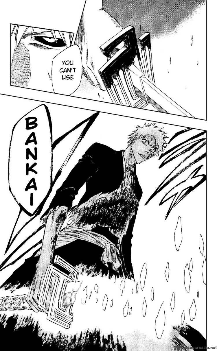 BLEACH Chapter 219 - Page 17