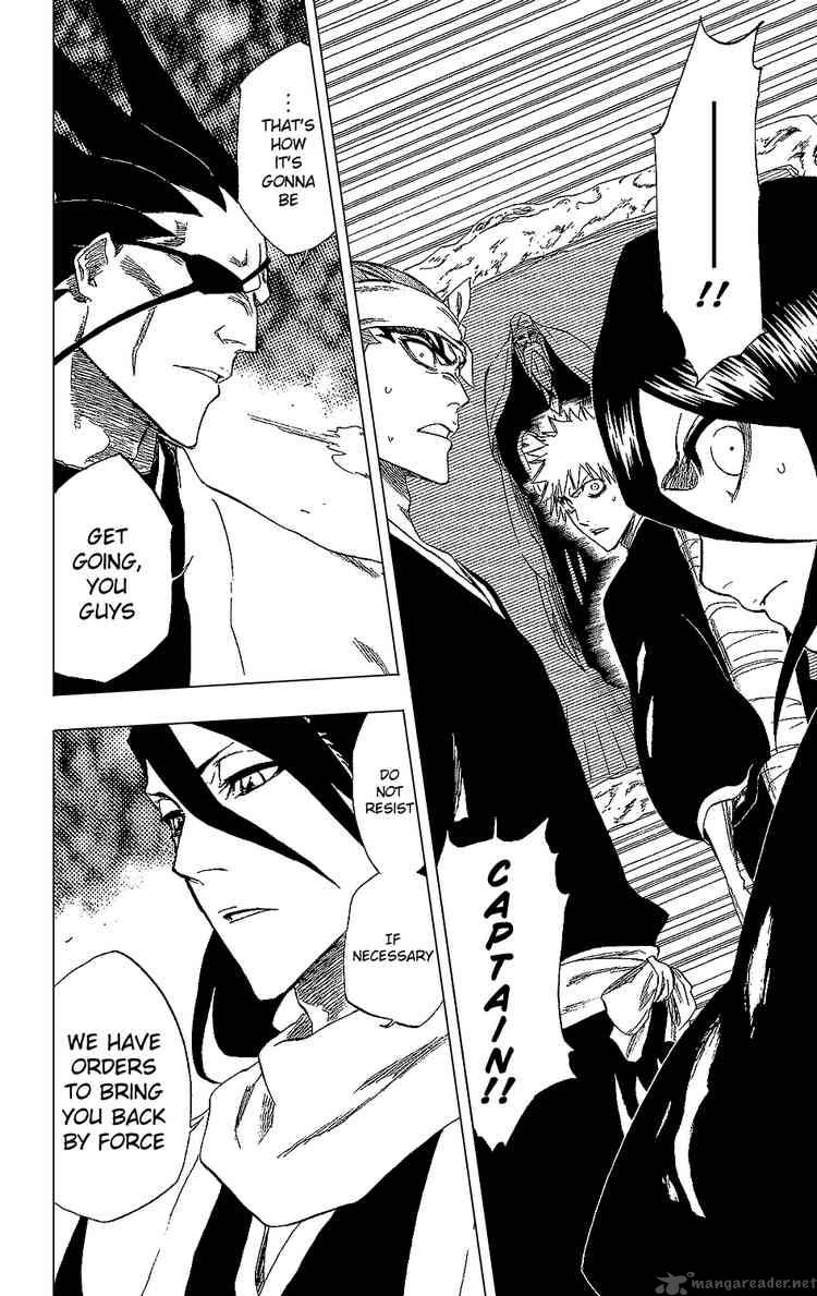 BLEACH Chapter 238 - Page 15