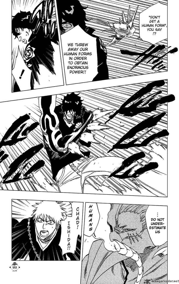 BLEACH Chapter 242 - Page 13